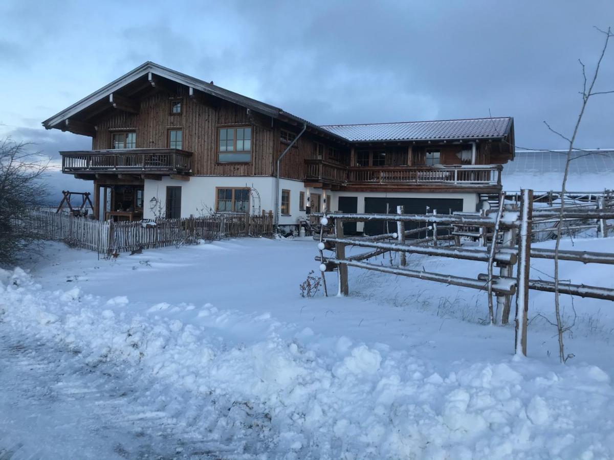 Chalet Bergliebe Brilon Exteriör bild