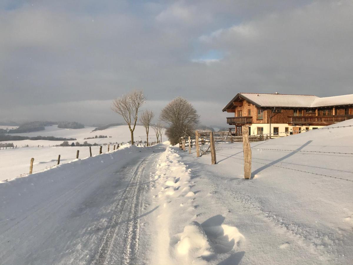 Chalet Bergliebe Brilon Exteriör bild